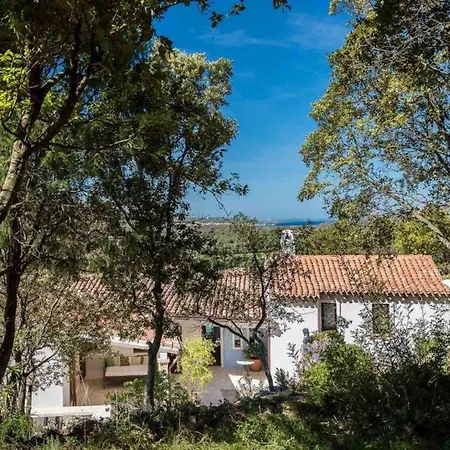 Villa Art House Arzachena